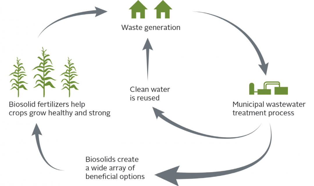 The Facts About Biosolids - Synagro